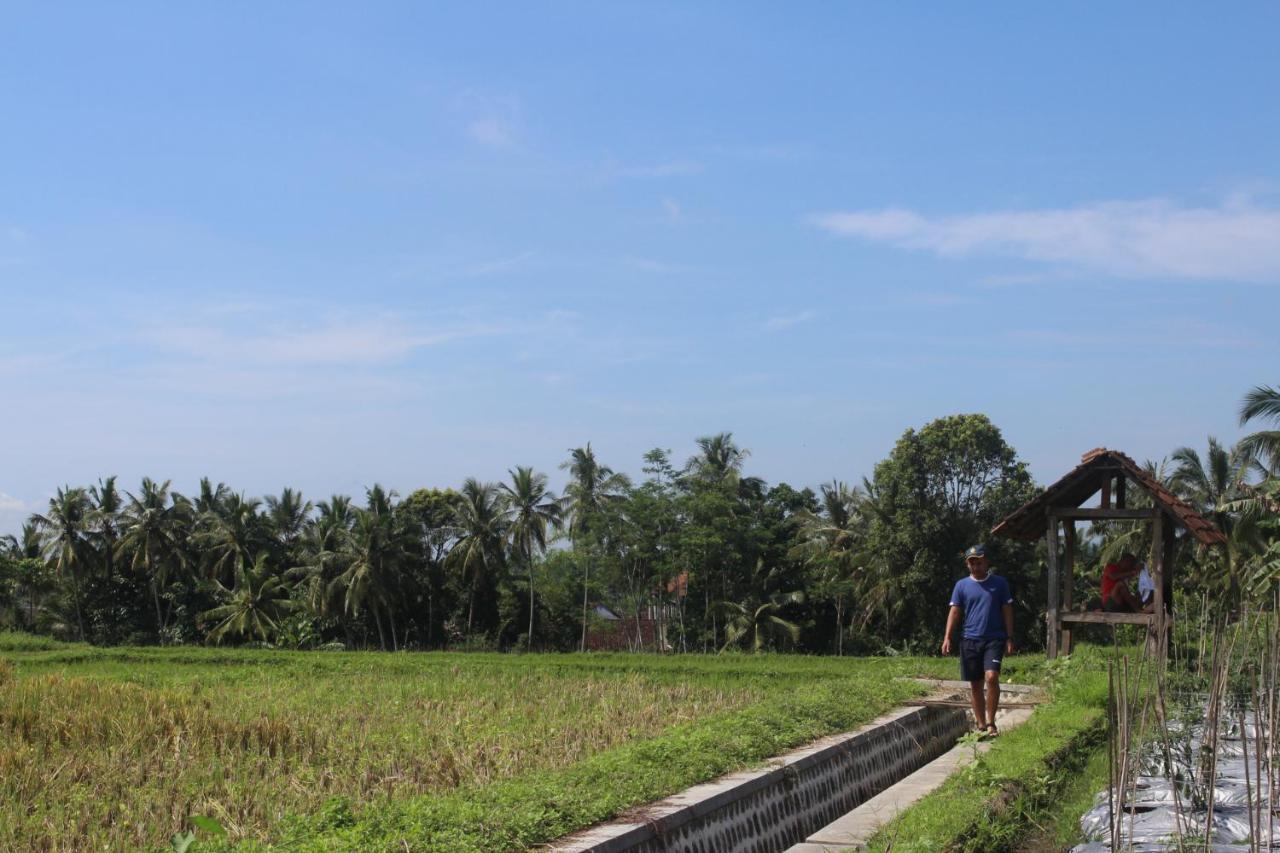 Agus Hidden Homestay - Banjar Sweet Village Banyuwangi  Dış mekan fotoğraf